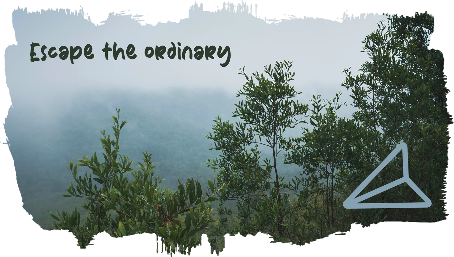 Escape the Ordinary