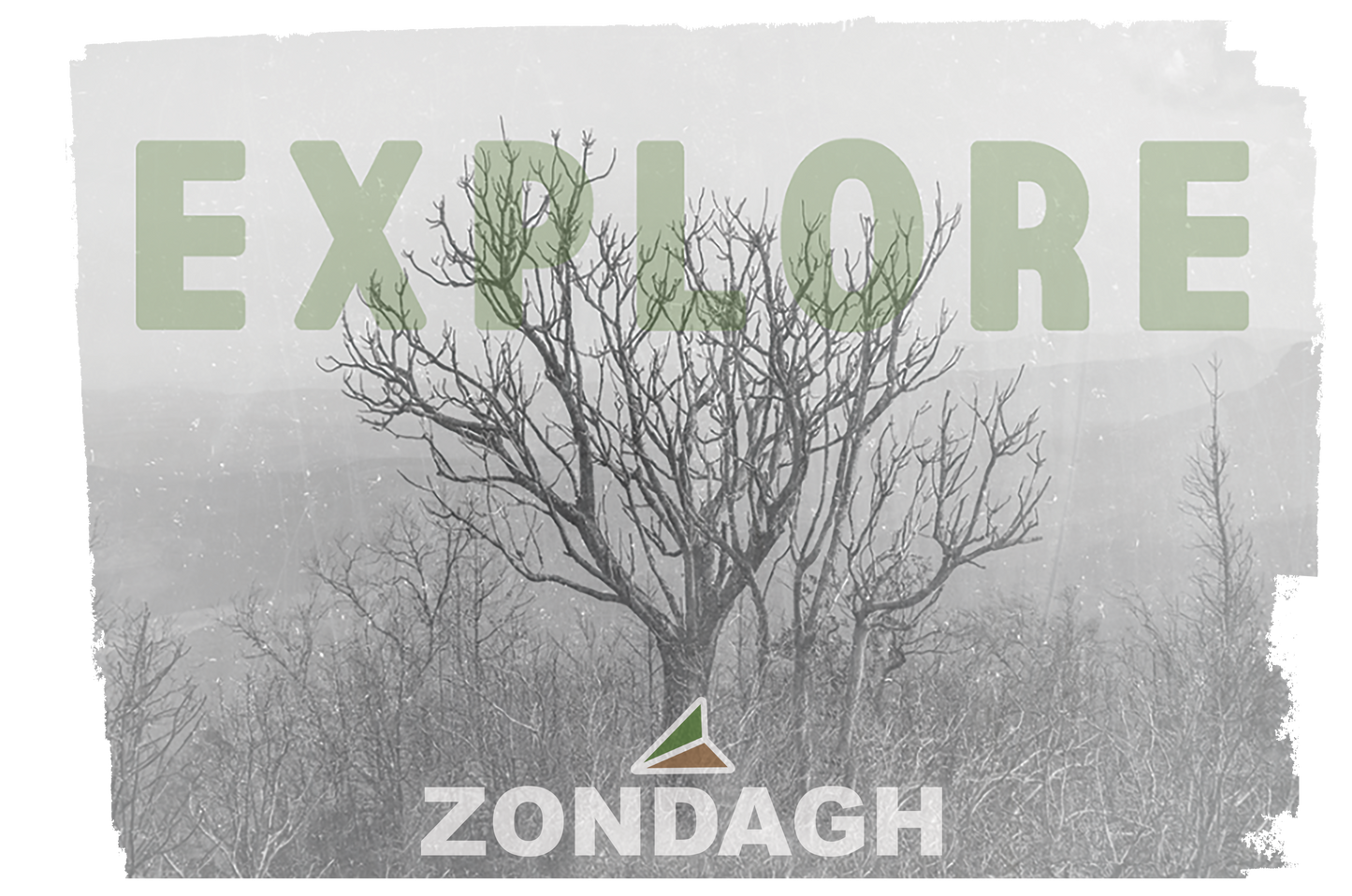 Explore Tree